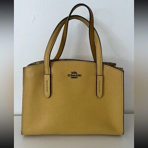 Charlie Carryall Coach bag with printed interior